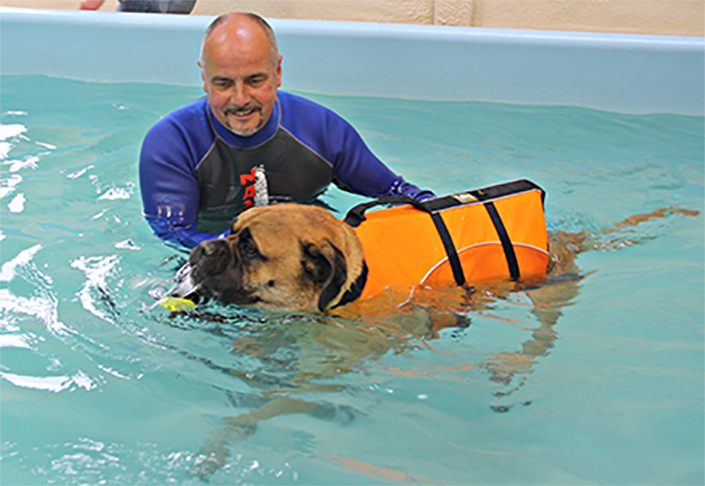 Canine-Hydrotherapy-Service
